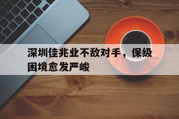 深圳佳兆业不敌对手，保级困境愈发严峻的简单介绍
